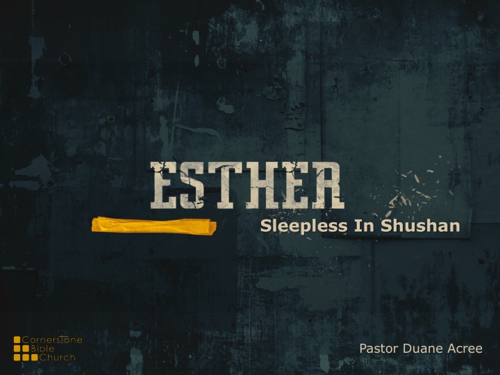 Chronicles of Sleeplessness in Shushan