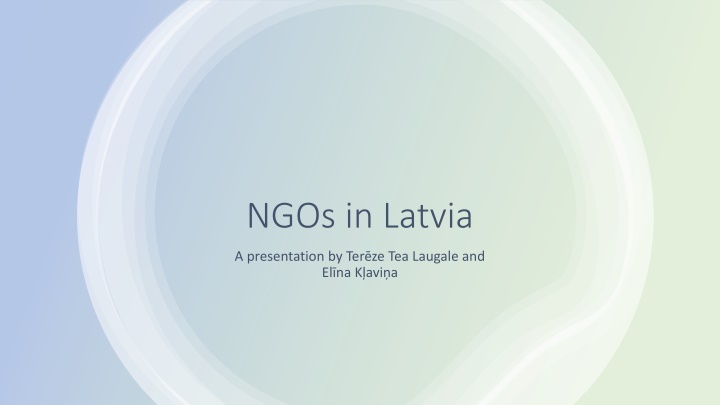 Overview of NGOs in Latvia: Impact and Focus Areas