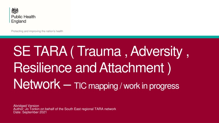 Trauma-Informed Care (TIC) and Resilience in the SE TARA Network