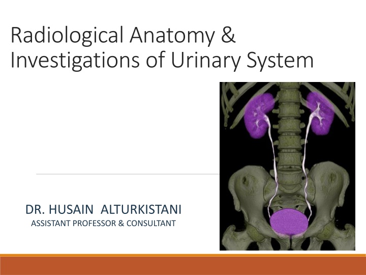 Radiological Anatomy & Investigations of Urinary System by Dr. Husain Alturkistani