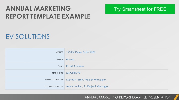 Strategic Marketing Overview for [Your EV Station Company] - Annual Report