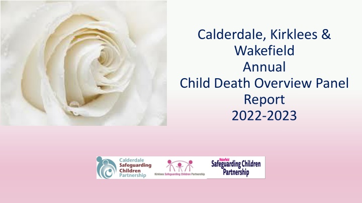 Annual Child Death Overview Panel Report 2022-2023 for Calderdale, Kirklees, and Wakefield