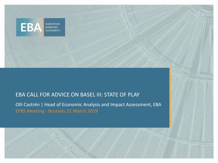 Overview of EBA Call for Advice on Basel III Revisions