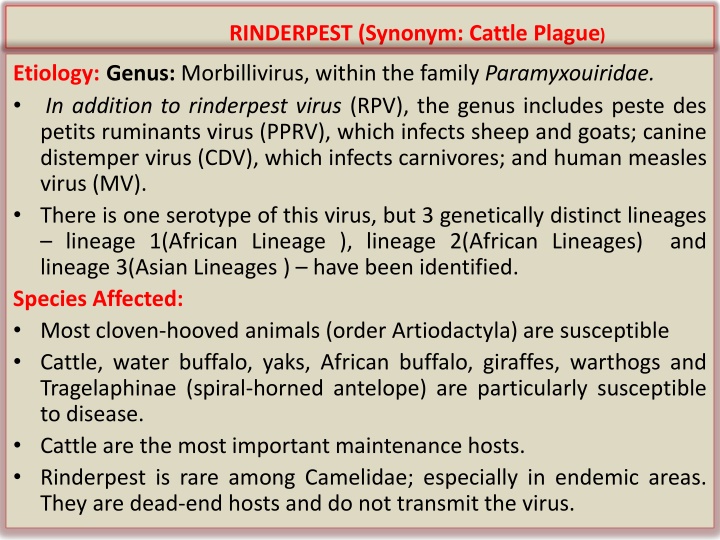 Rinderpest: A Cattle Plague Overview