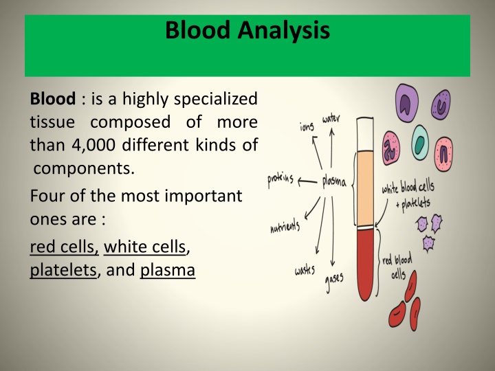 The Importance of Blood Composition and Functions