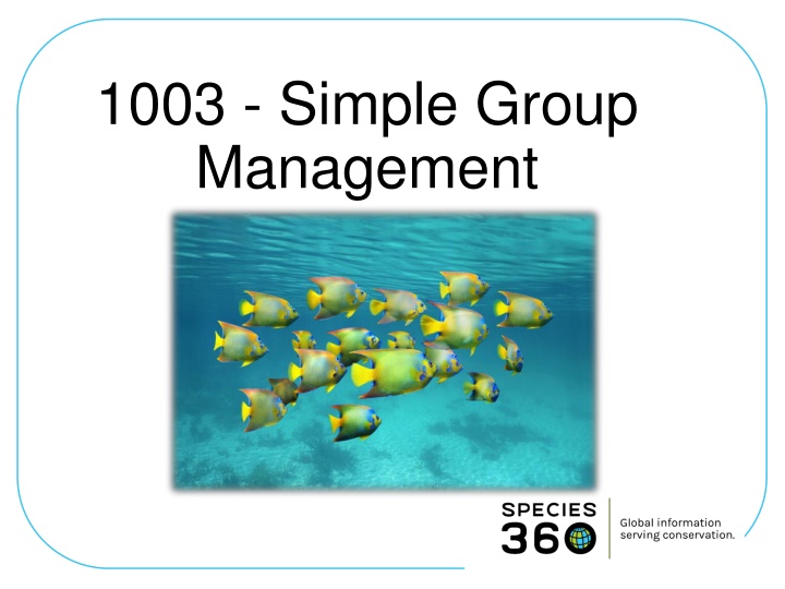Group Management in Animal Records
