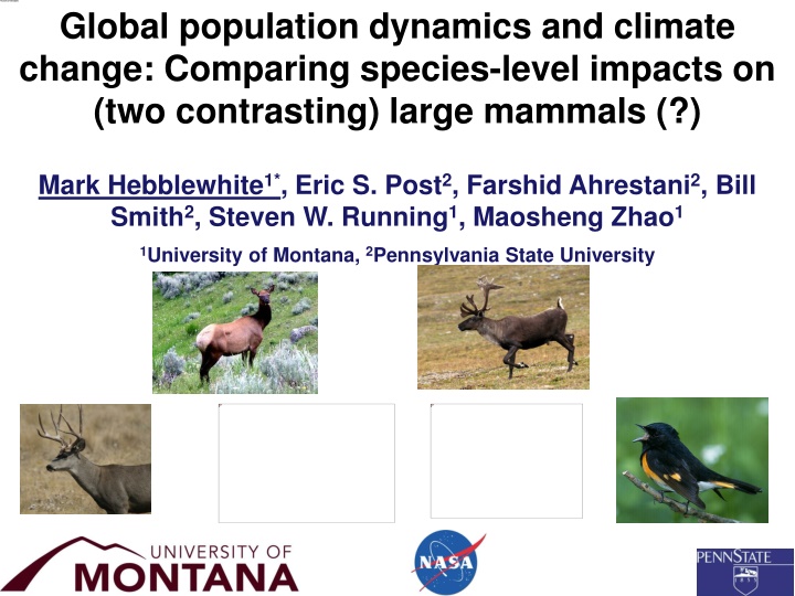 Impacts of Global Population Dynamics and Climate Change on Large Mammals