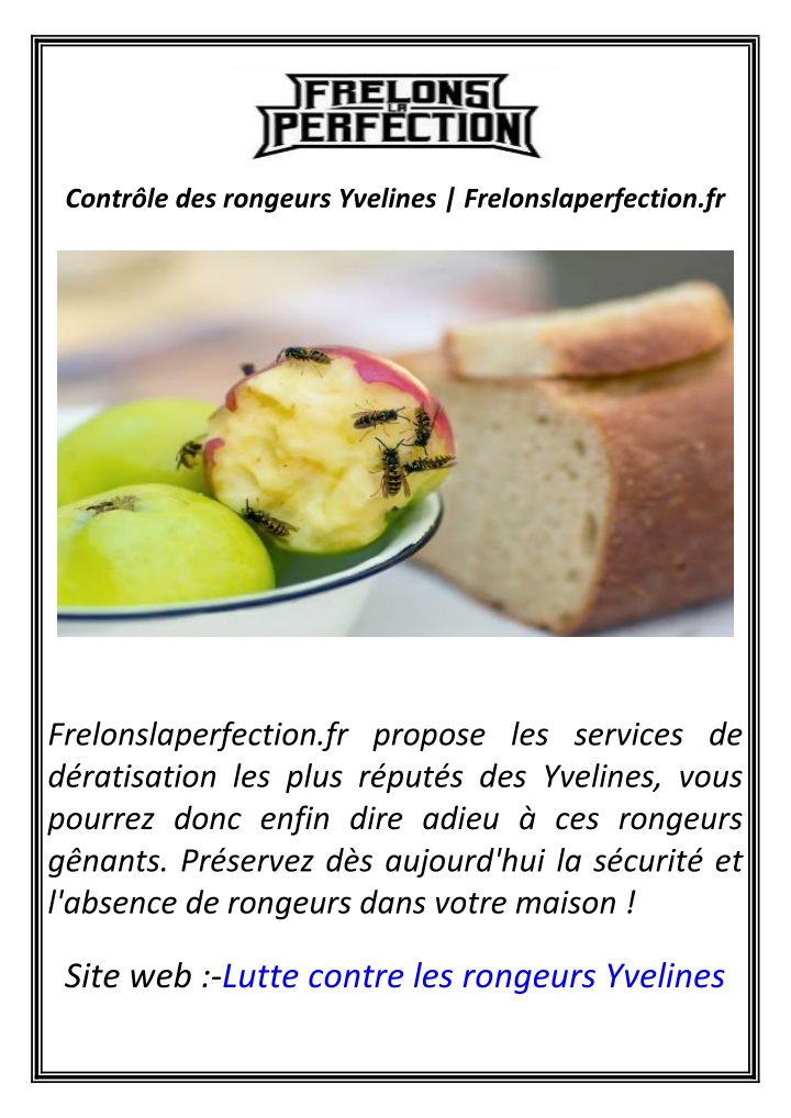 contr le des rongeurs yvelines n.w