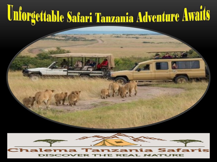 Unforgettable Safari Tanzania Adventure Awaits