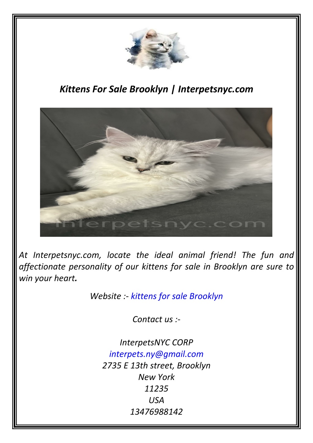 kittens for sale brooklyn interpetsnyc com l.w