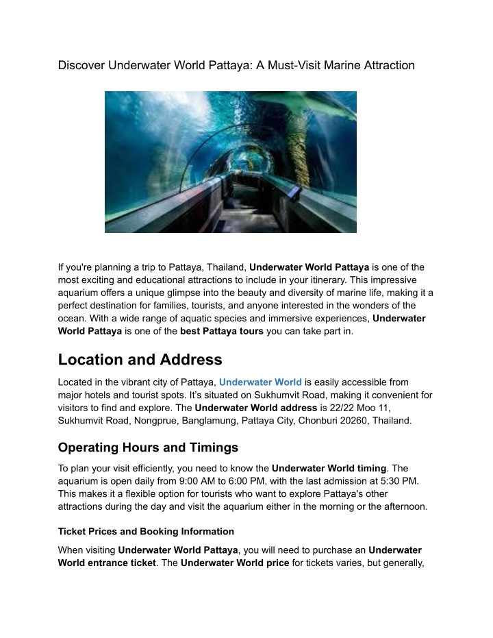 discover underwater world pattaya a must visit n.w