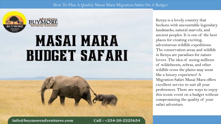 how to plan a quality masai mara migration safari n.w