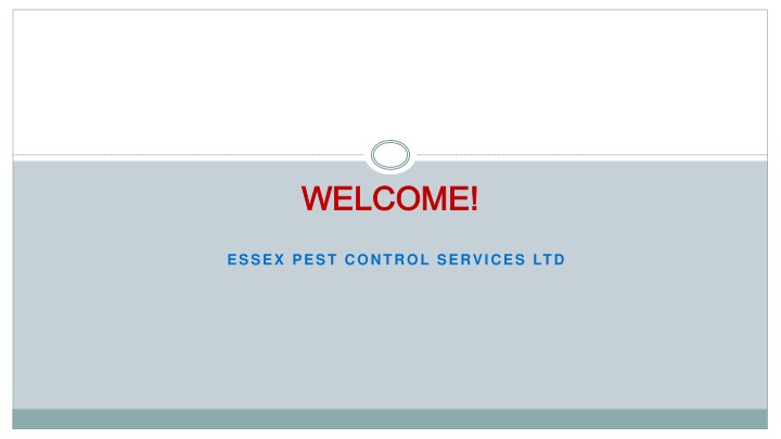 Looking for the best Rat Removal in Hadleigh
