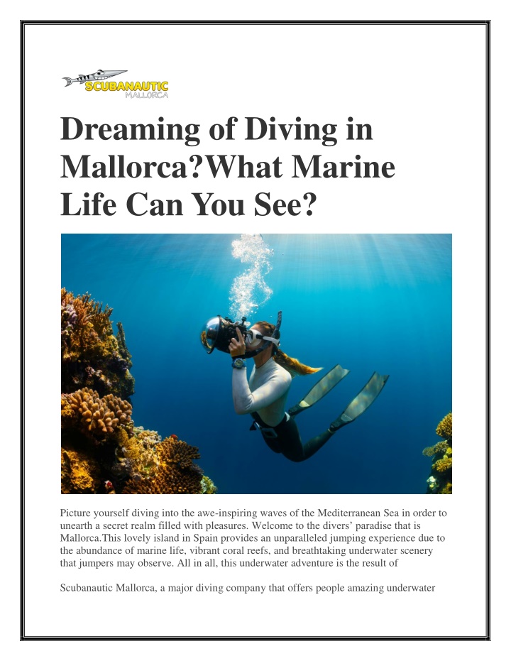 dreaming of diving in mallorca what marine life n.w