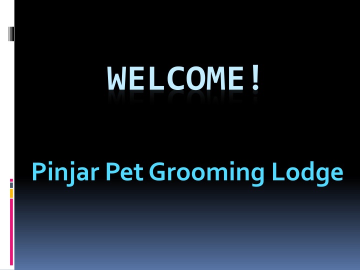 One of the Best service for Dog Lodge in Carramar