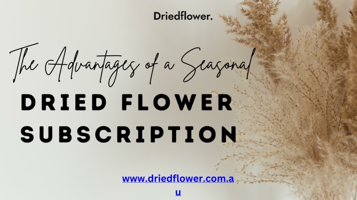 The Advantages of a Seasonal Dried Flower Subscription
