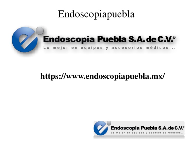 Endoscopio Flexible Para Uso Veterinario