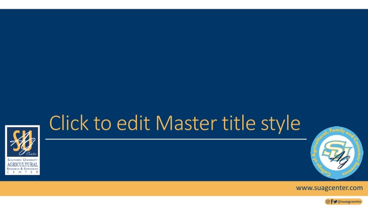 Enhance Your Style with Suagcenter Images