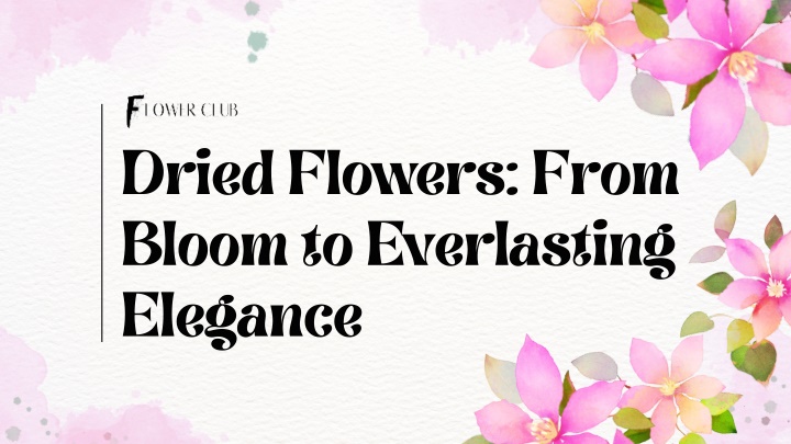 dried flowers from bloom to everlasting elegance n.w
