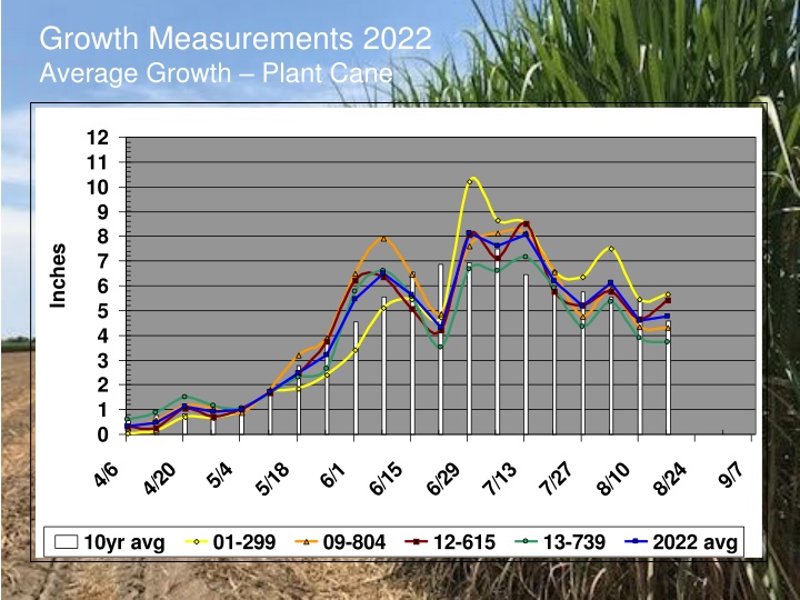 Growth Measurements and Averages 2022 for Cane Plants