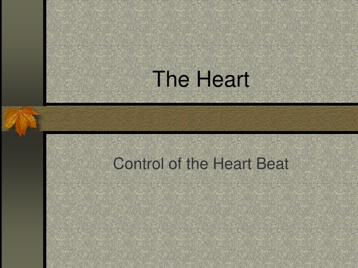 The Control of Heart Beat