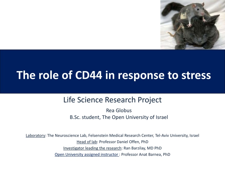 The Role of CD44 in Response to Stress: Research Project at The Open University of Israel