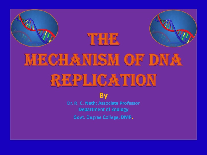DNA Replication: Concepts and Mechanisms Explored