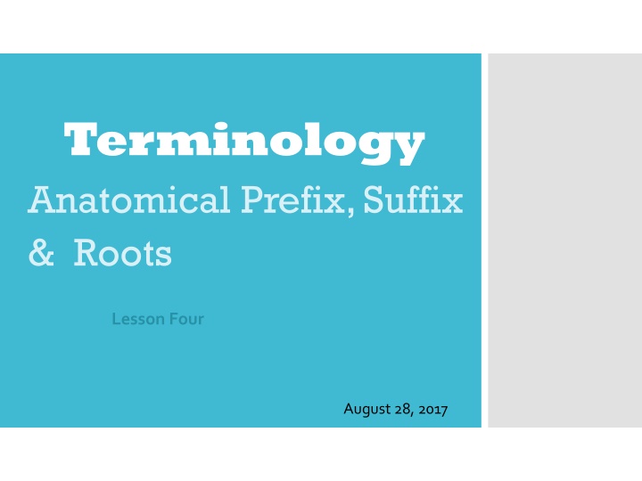 Anatomical Terminology: Prefixes, Suffixes, and Roots