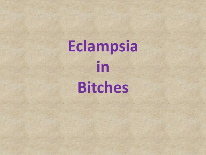 Eclampsia in Bitches: Causes and Symptoms