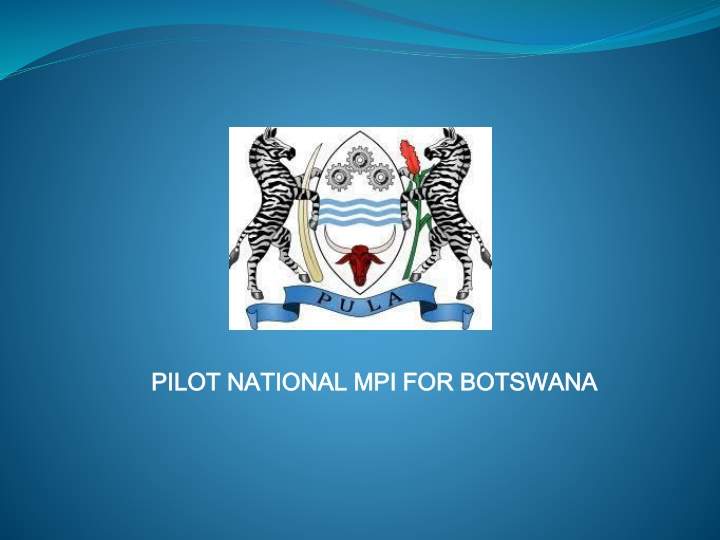 Insights into Pilot National MPI for Botswana