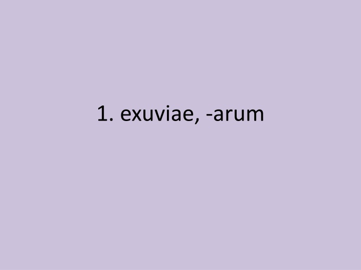 Latin Verbs Explained Through Images