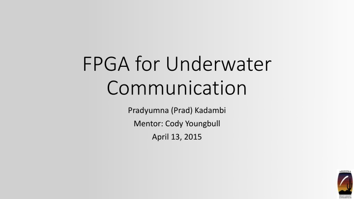 FPGA for Underwater Communication Project Overview