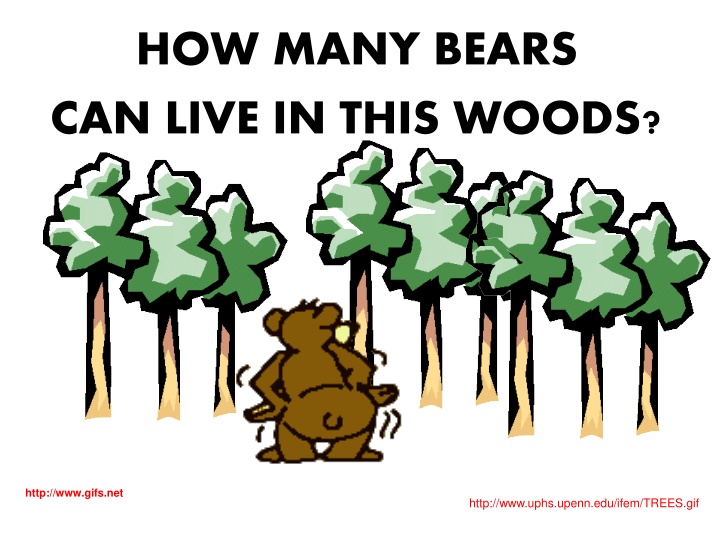 Survival Game for Bears in the Forest Ecosystem