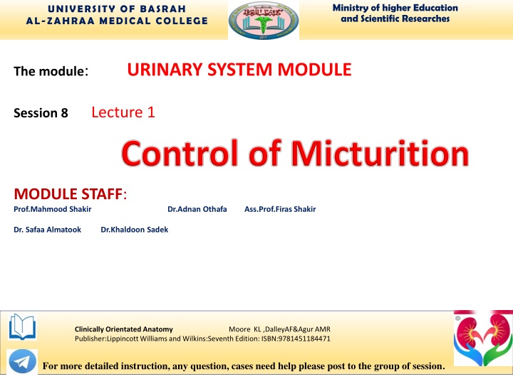 Urinary System: Bladder Anatomy and Function