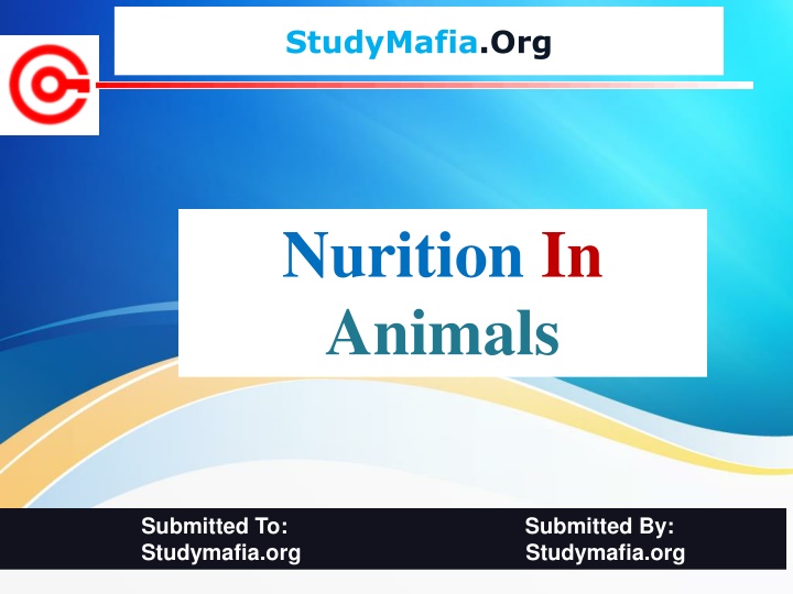 Nutrition in Animals: Types and Process