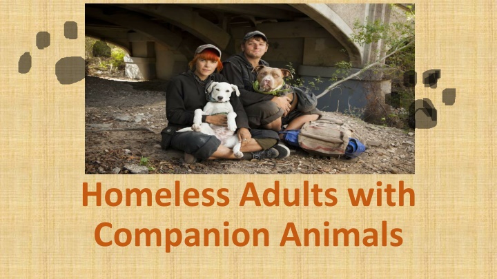 The Bond Between Homeless Adults and Companion Animals