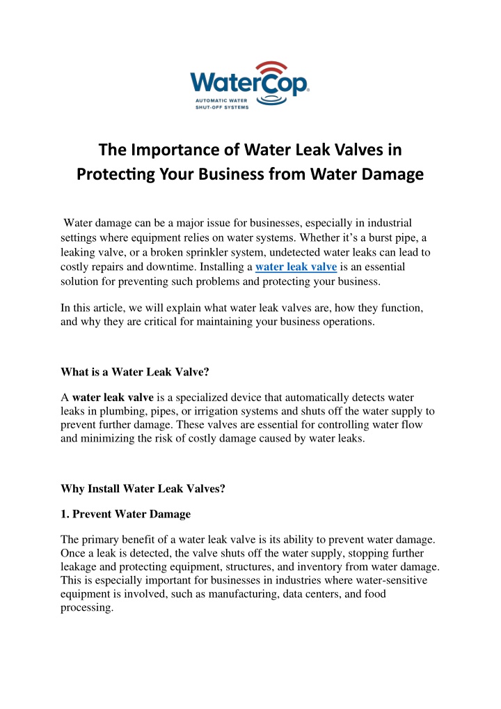 the importance of water leak valves in protecting n.w