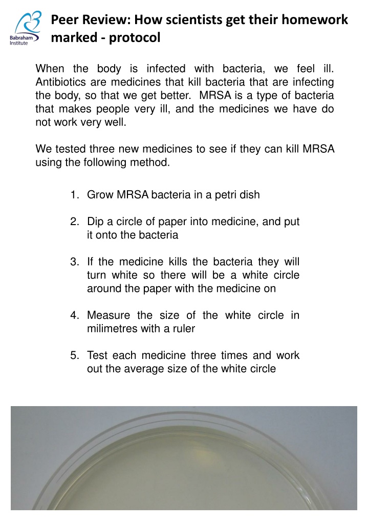 Peer Review: Testing New Medicines on MRSA Bacteria