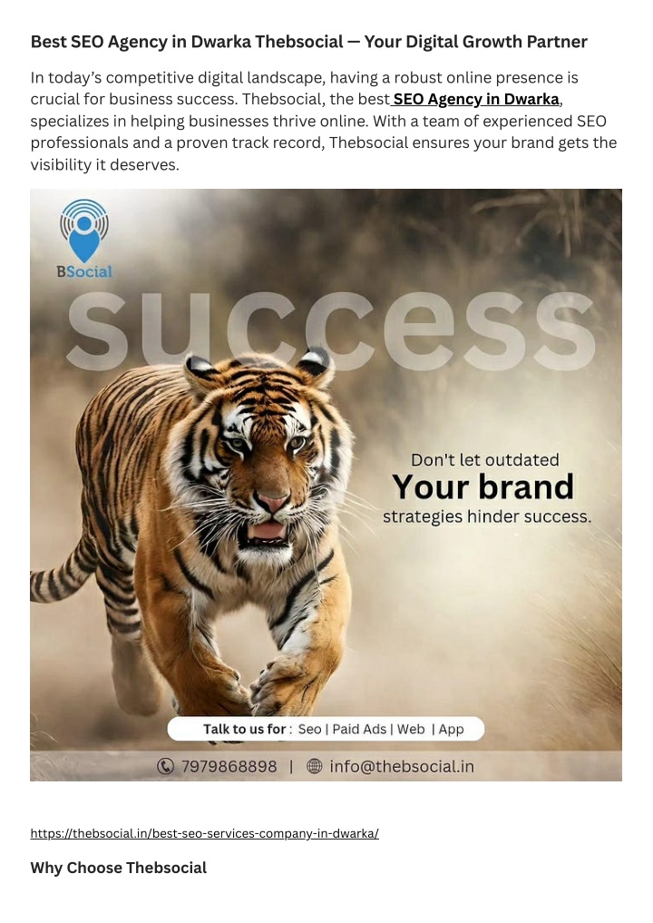 best seo agency in dwarka thebsocial your digital n.w