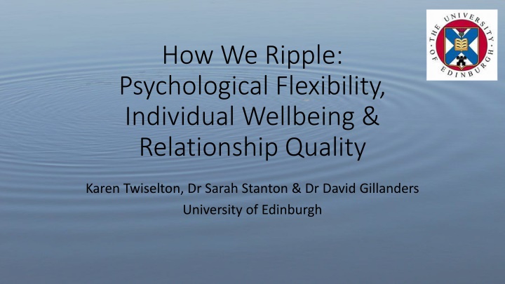 Psychological Flexibility and Relationship Quality Study