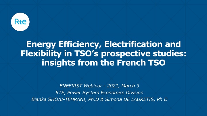 Insights into Energy Efficiency, Electrification, and Flexibility in TSO Studies