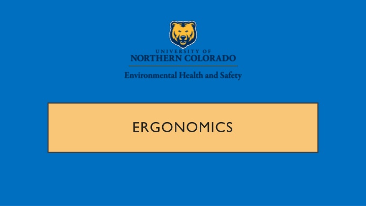 Ergonomics and Preventing Work-Related Musculoskeletal Disorders