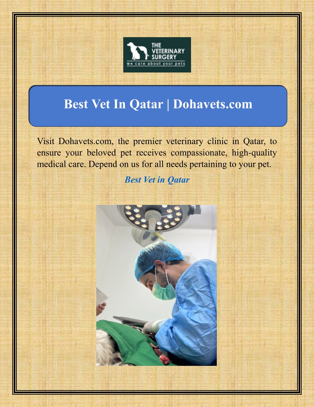 visit dohavets com the premier veterinary clinic l.w