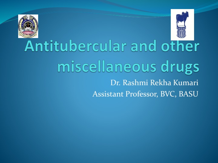 Anti-Tubercular Drugs: Mechanisms and Clinical Utility