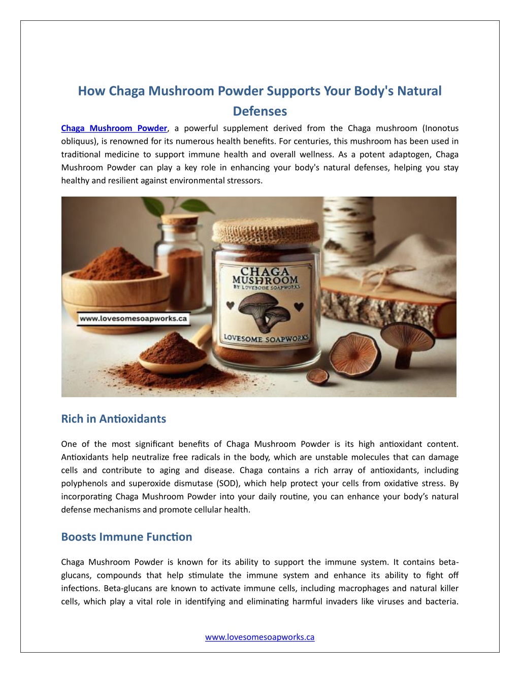 how chaga mushroom powder supports your body l.w