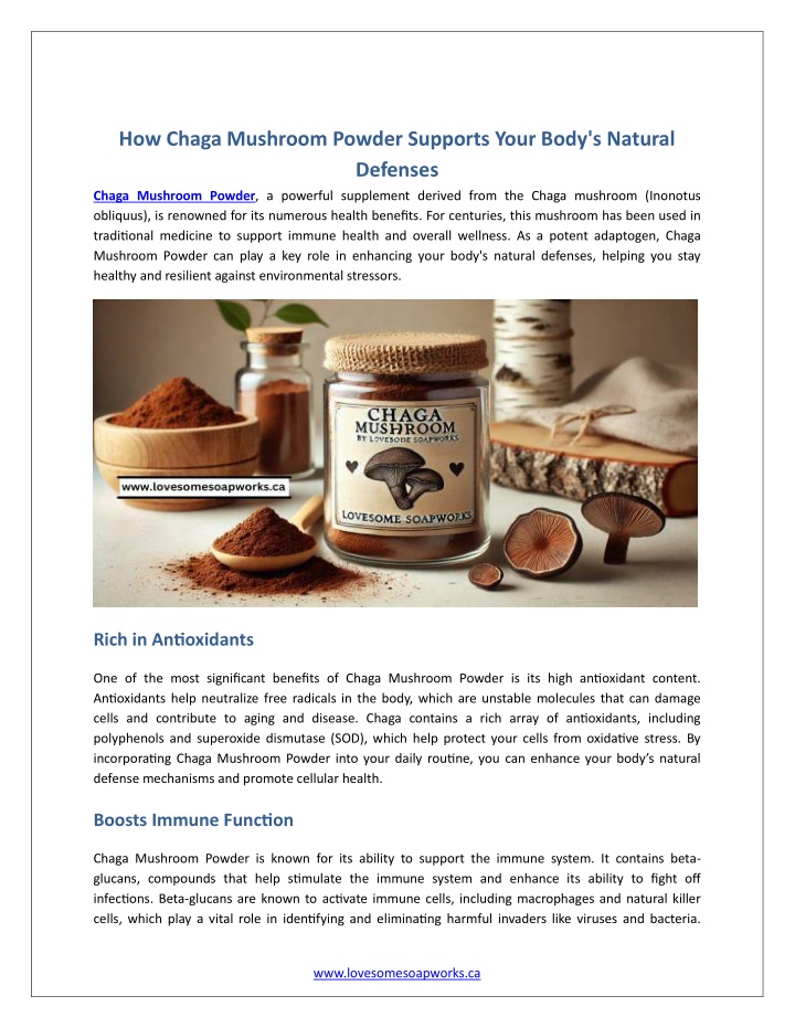 how chaga mushroom powder supports your body n.w