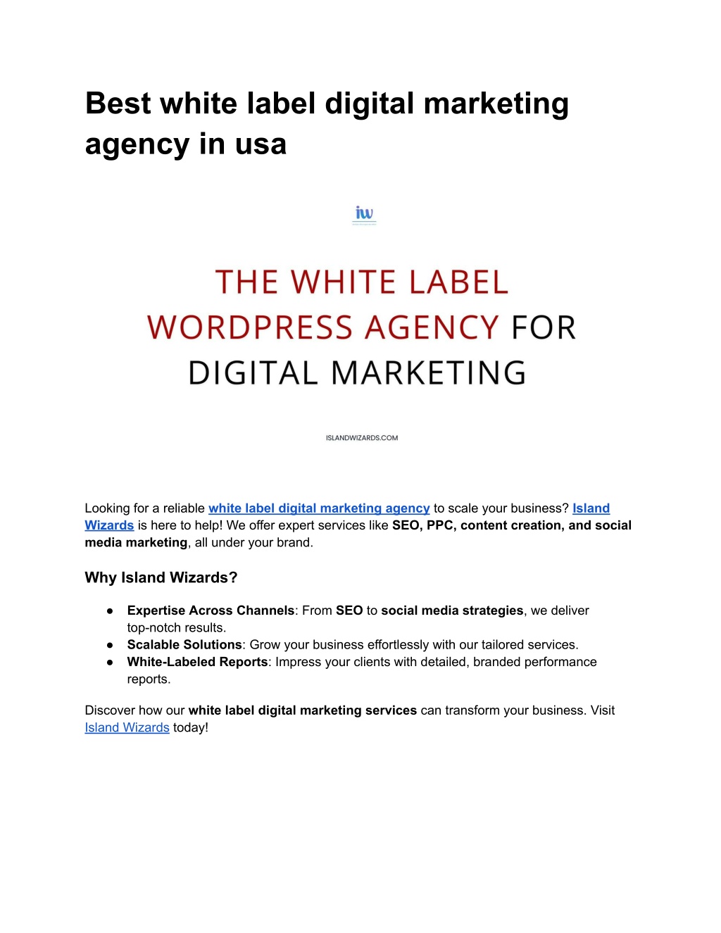 best white label digital marketing agency in usa l.w