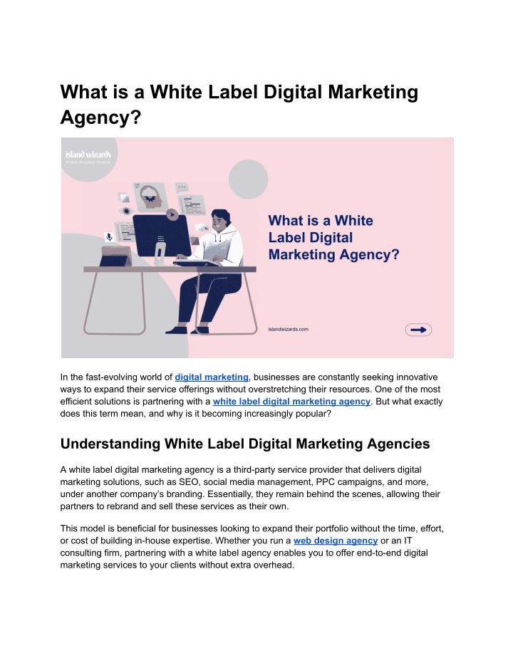 what is a white label digital marketing agency n.w