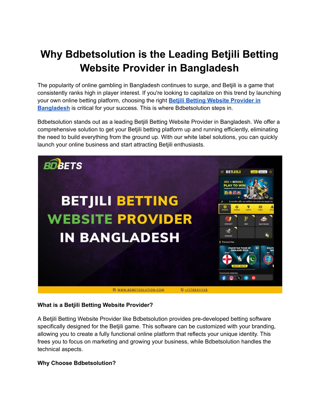 why bdbetsolution is the leading betjili betting l.w