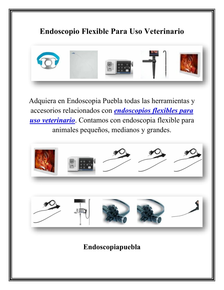 endoscopio flexible para uso veterinario n.w